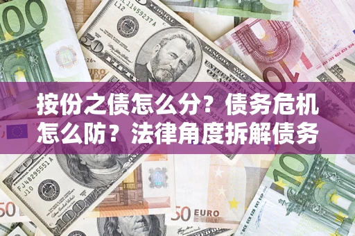 武汉按份之债怎么分？债务危机怎么防？法律角度拆解债务分配与风险自保指南