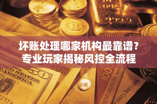 武汉坏账处理哪家机构最靠谱？专业玩家揭秘风控全流程
