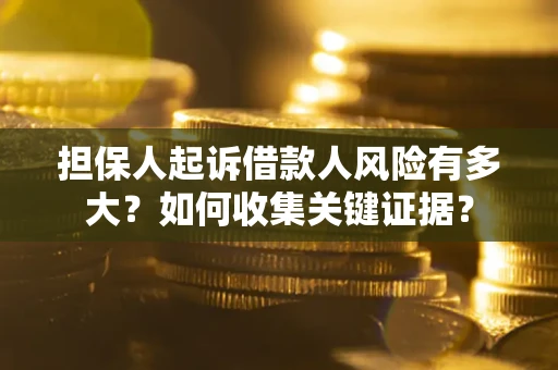 武汉担保人起诉借款人风险有多大？如何收集关键证据？