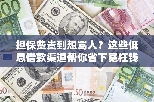 武汉担保费贵到想骂人？这些低息借款渠道帮你省下冤枉钱