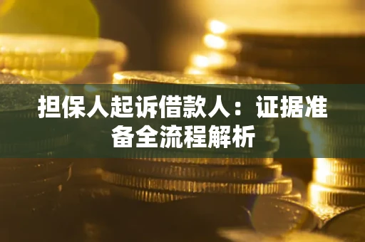 武汉担保人起诉借款人：证据准备全流程解析