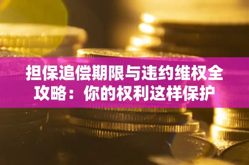 武汉担保追偿期限与违约维权全攻略：你的权利这样保护