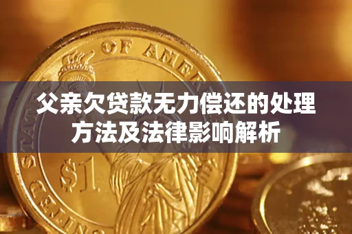 武汉父亲欠贷款无力偿还的处理方法及法律影响解析